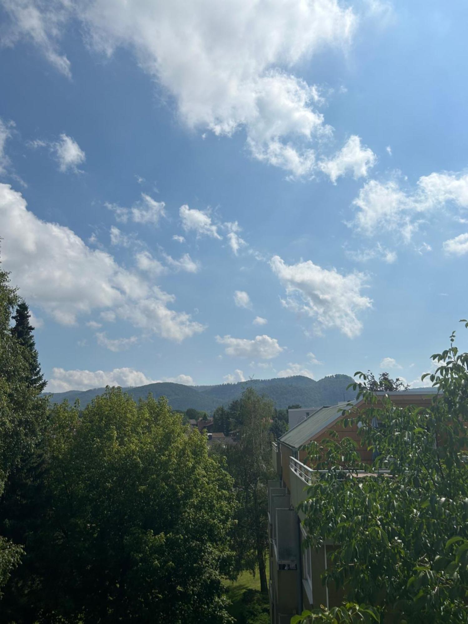 Penthouse ,,Kleine Auszeit" Daire Bad Harzburg Dış mekan fotoğraf